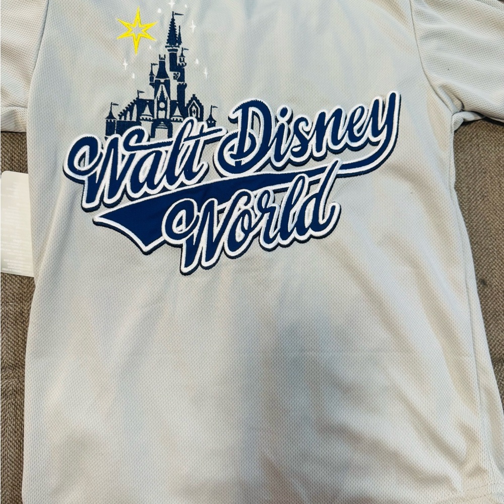 Disney Gray Short Sleeve Tee with Iconic Castle Design